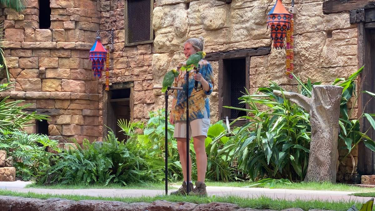 ‘Feathered Friends in Flight’ debuts at Disney’s Animal Kingdom