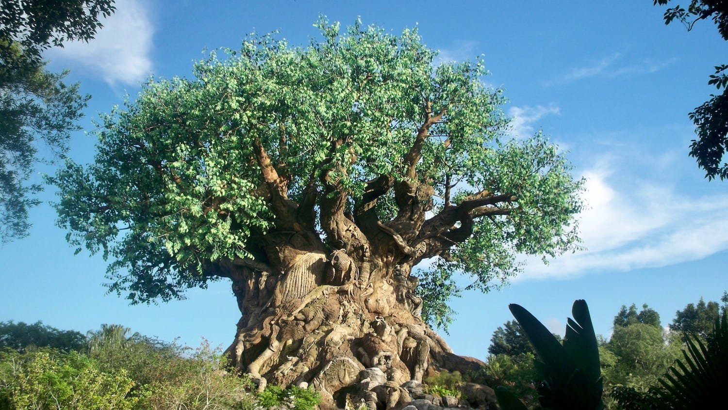 tree of life at animal kingdom
