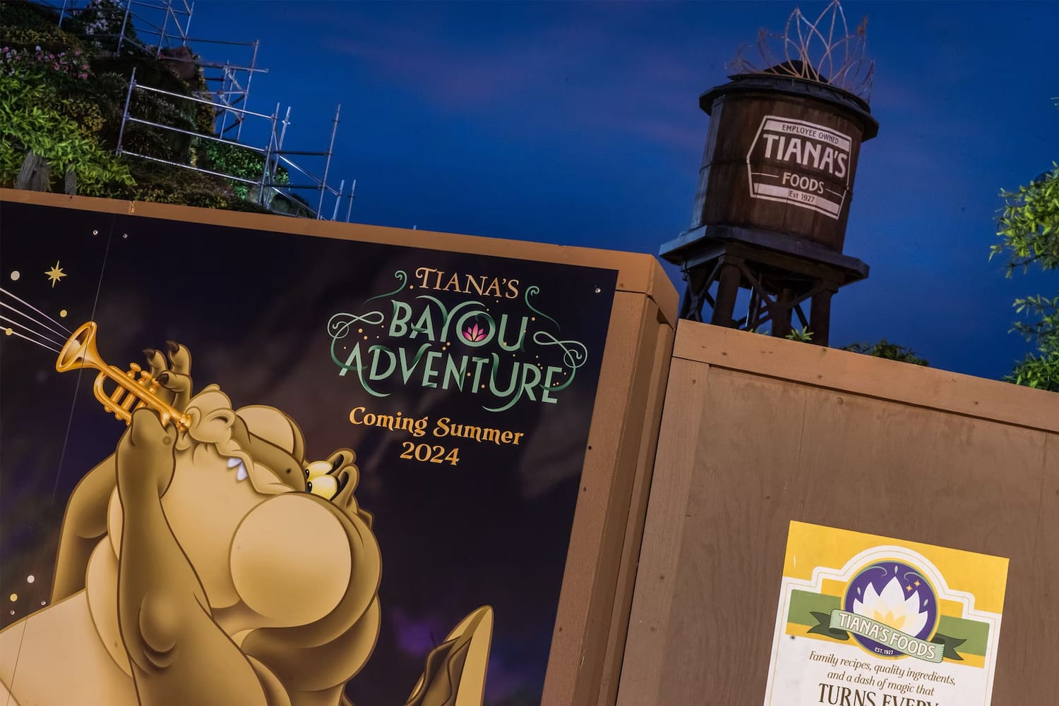 tiana's bayou adventure