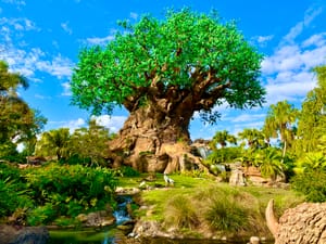 Disney's Animal Kingdom