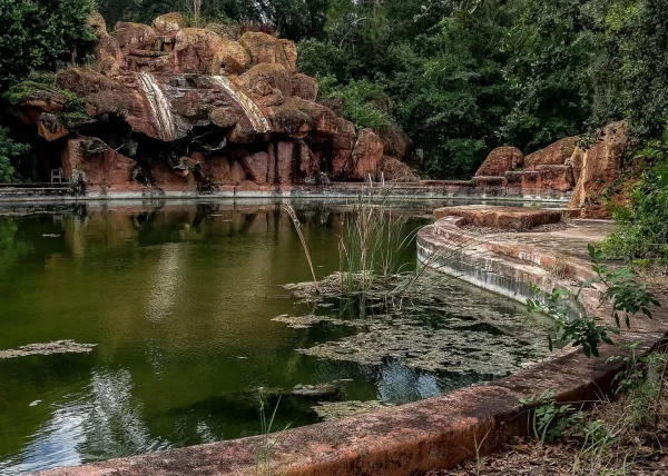 A Look at Disney's Abandoned Water Park
