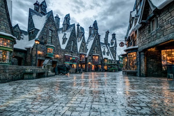 Universal Orlando Survey Questions Reopening