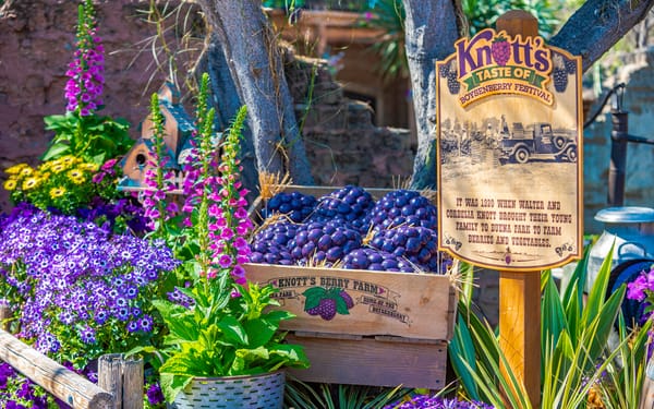“Taste of Knott’s” Outdoor Food Event Announced