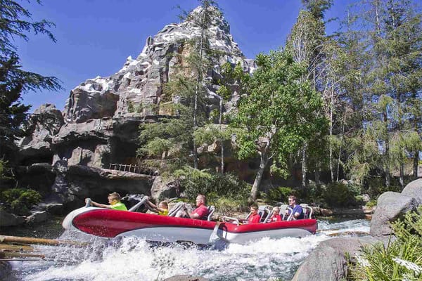 Matterhorn vs. Expedition Everest: Which is Better?