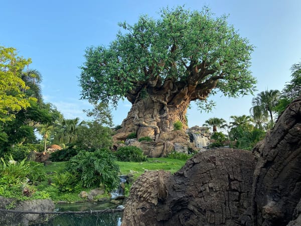 The Story Behind Animal Kingdom’s Tree of Life