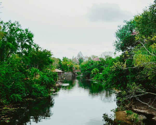 Disney Retires Character Flotillas in Animal Kingdom